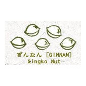 illust:gingko nut